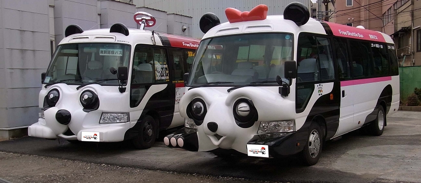 Panda bus1