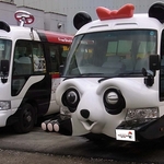 Panda bus1